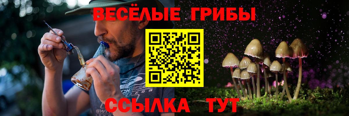 Галлюциногенные грибы GOLDEN TEACHER Абакан