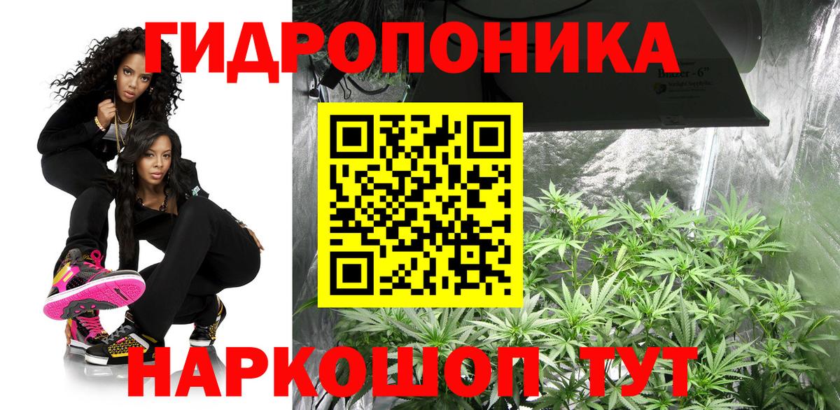 Канабис Ganja Абакан
